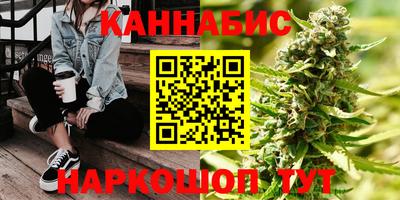 стаф Дубна