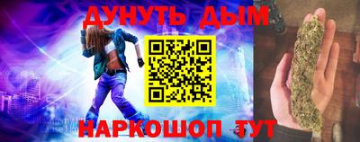 стаф Дубна