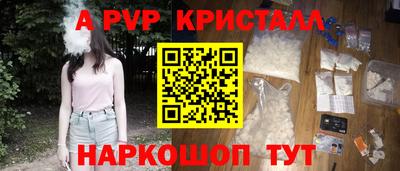стаф Дубна