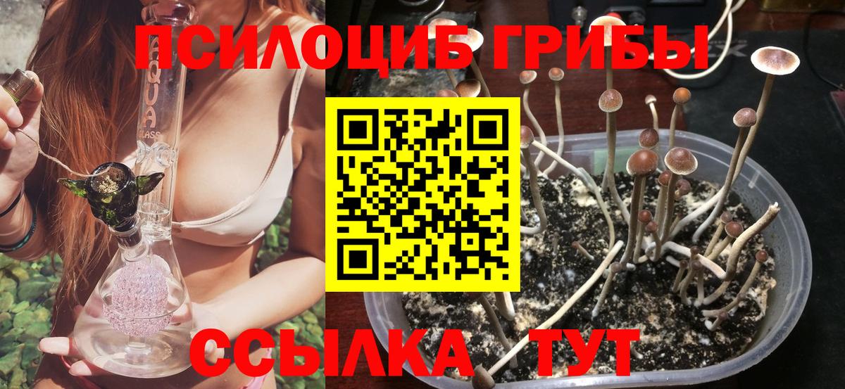 Псилоцибиновые грибы прущие грибы  Вход с VPN  Псилоцибиновые грибы MAGIC MUSHROOMS  Кохма 