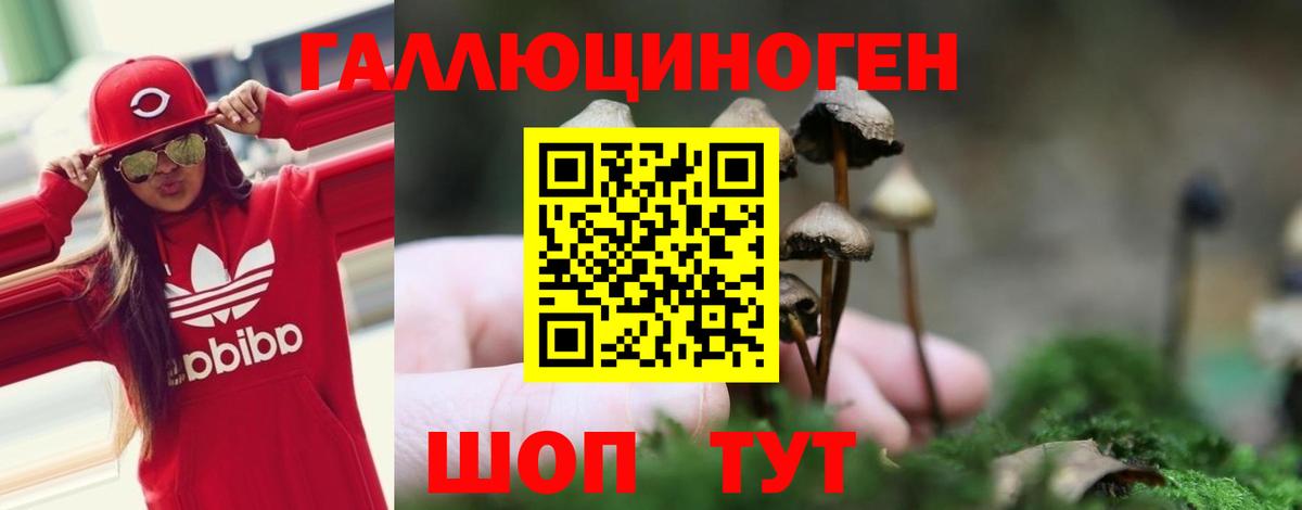 Галлюциногенные грибы Magic Shrooms Кохма