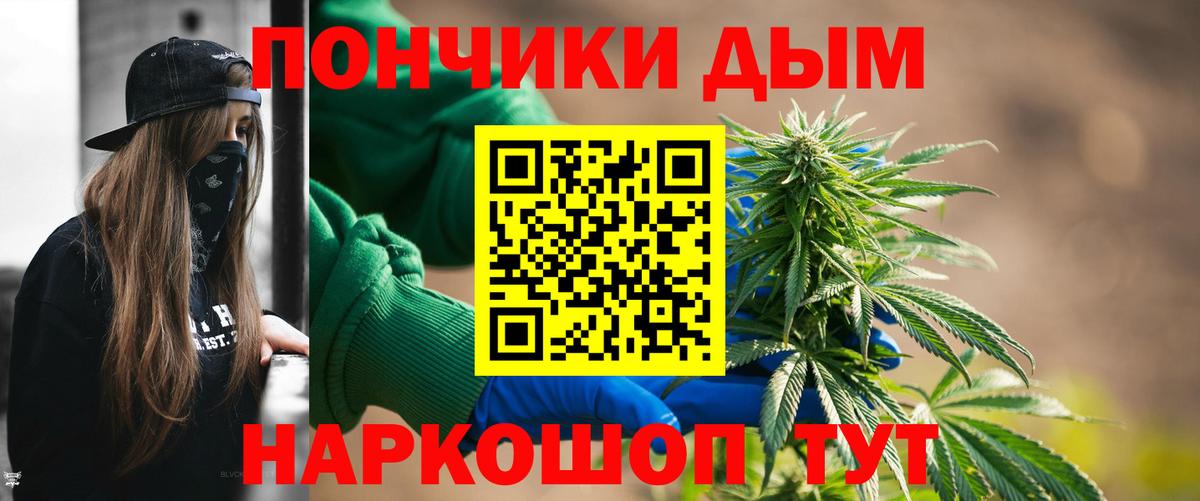 Бошки Шишки гибрид Кохма